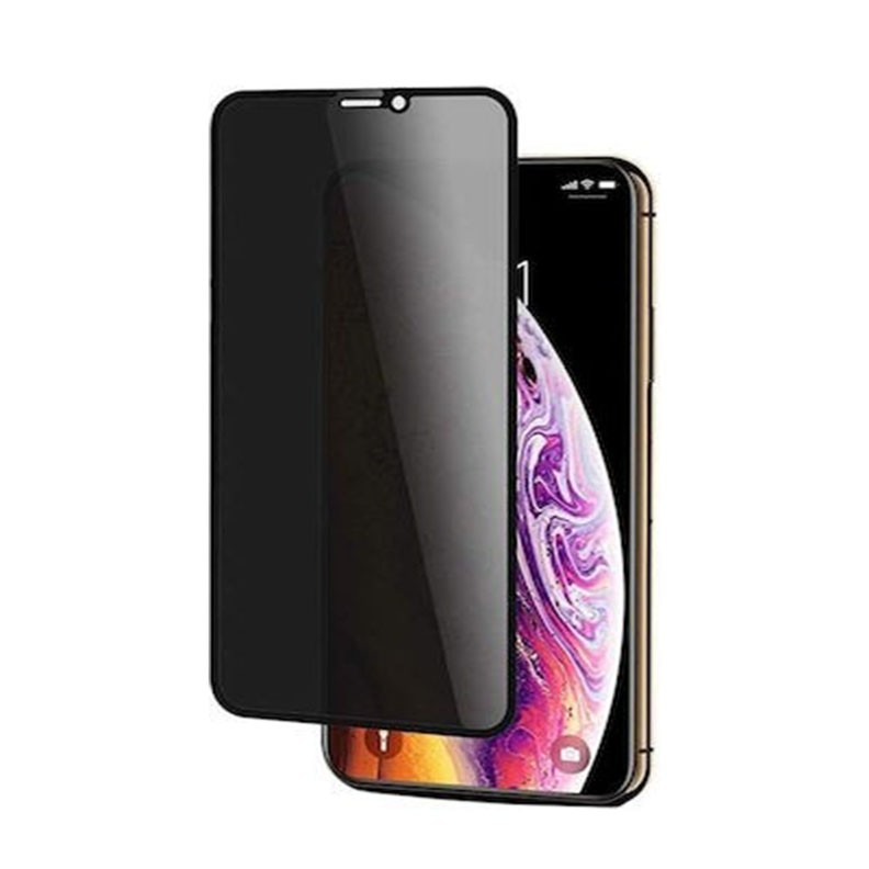Apple iPhone 11 Pro/X/Xs Privacy Tempered Glass Black