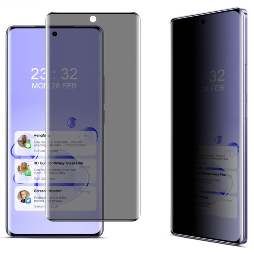 Realme GT 6 5G / GT 6T 5G IMAK Privacy Curved Full Tempered Glass Black